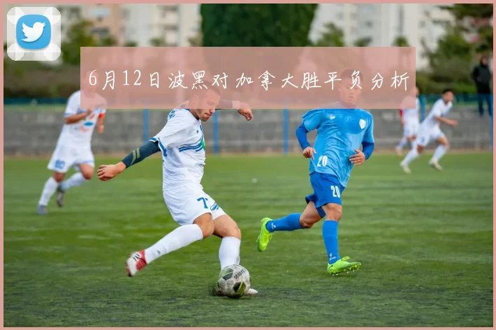 6月12日波黑对加拿大胜平负分析
