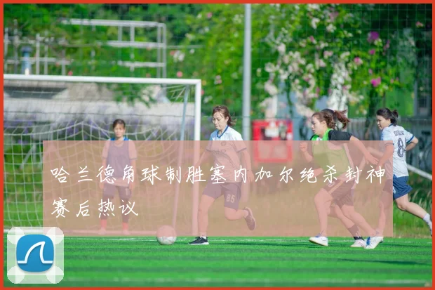 哈兰德角球制胜塞内加尔绝杀封神赛后热议