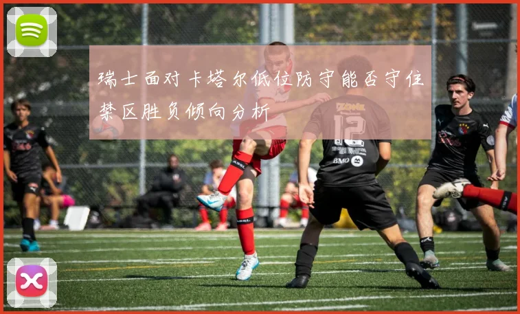 瑞士面对卡塔尔低位防守能否守住禁区胜负倾向分析