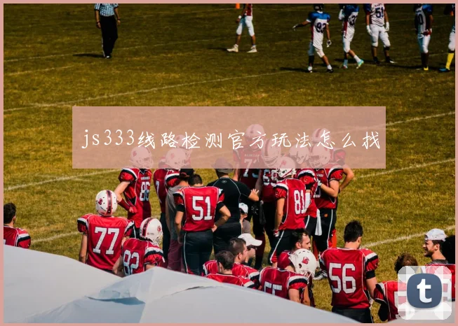 js333线路检测官方玩法怎么找