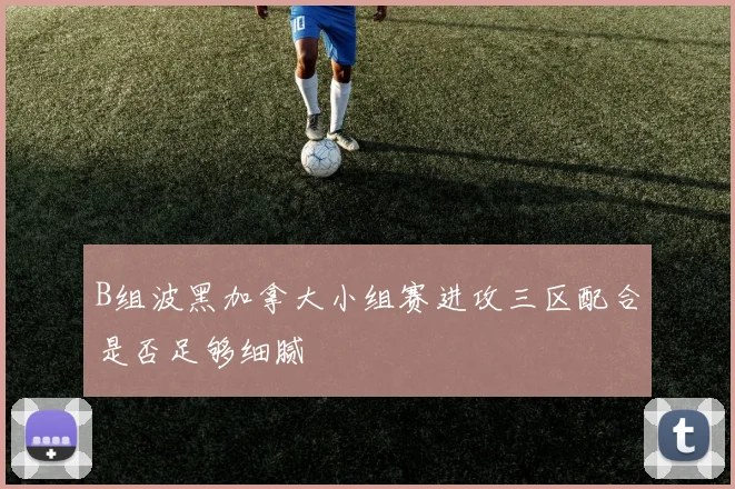 B组波黑加拿大小组赛进攻三区配合是否足够细腻