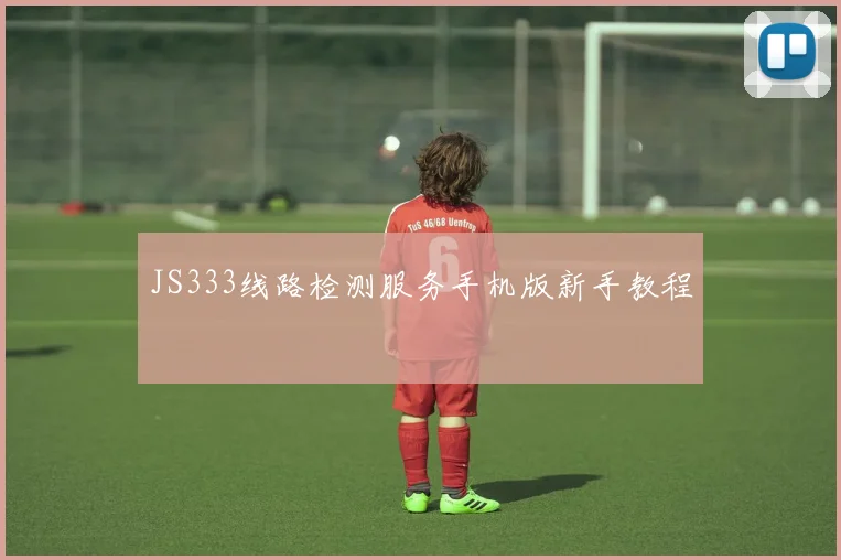 JS333线路检测服务手机版新手教程