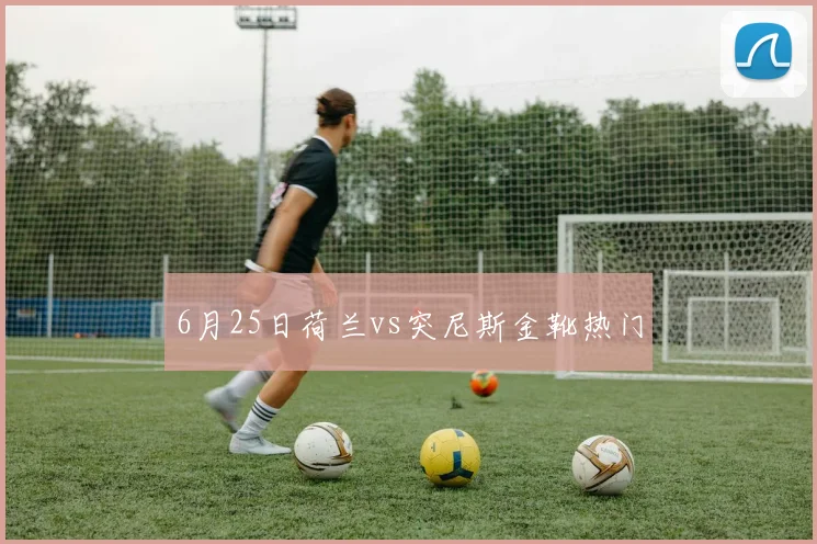 6月25日荷兰vs突尼斯金靴热门